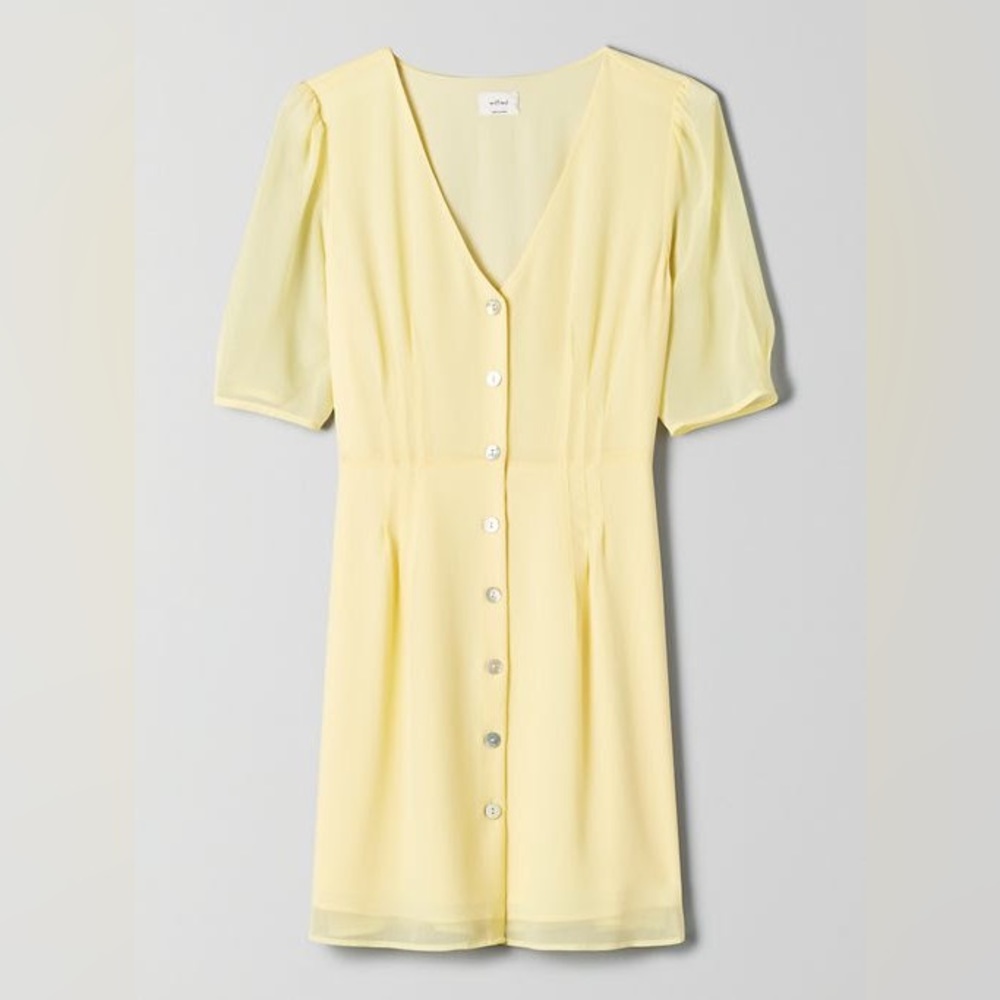 Aritzia Wilfred Button-Front Dress